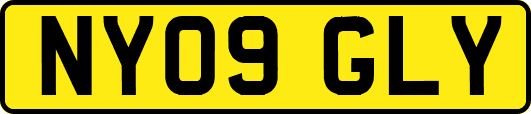 NY09GLY