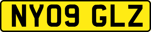 NY09GLZ
