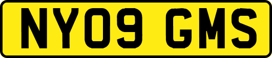 NY09GMS