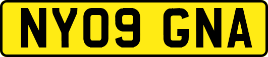 NY09GNA