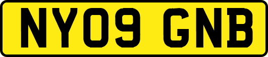 NY09GNB