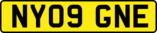NY09GNE