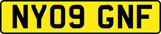NY09GNF
