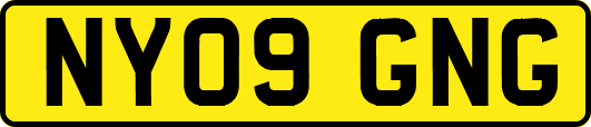 NY09GNG
