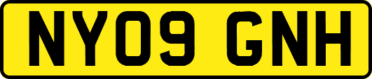 NY09GNH