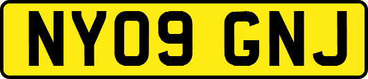 NY09GNJ