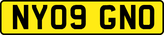 NY09GNO