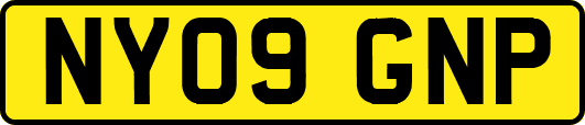 NY09GNP
