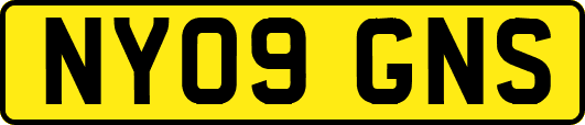 NY09GNS