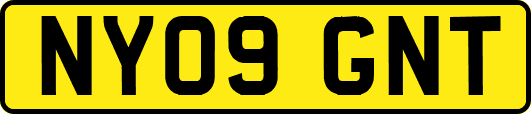 NY09GNT