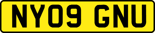 NY09GNU