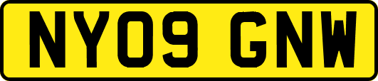 NY09GNW
