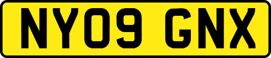 NY09GNX