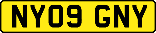 NY09GNY