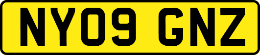 NY09GNZ