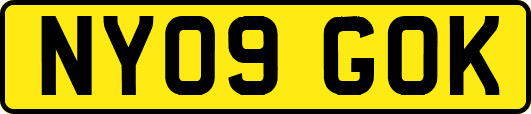 NY09GOK