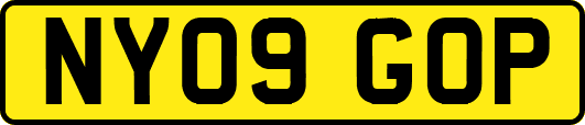 NY09GOP
