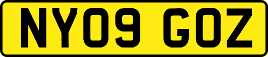NY09GOZ