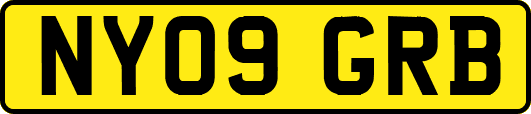 NY09GRB