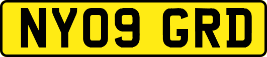 NY09GRD