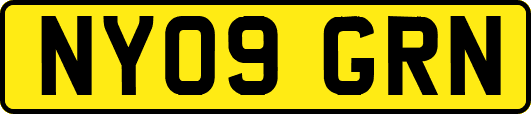 NY09GRN