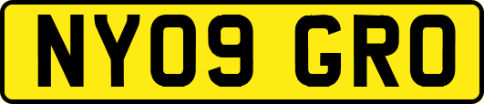 NY09GRO