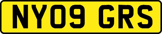 NY09GRS