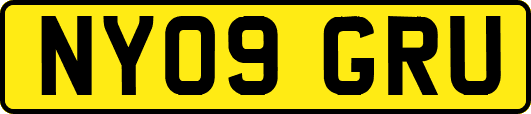 NY09GRU