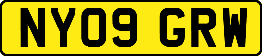 NY09GRW