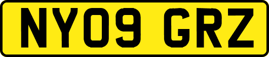 NY09GRZ