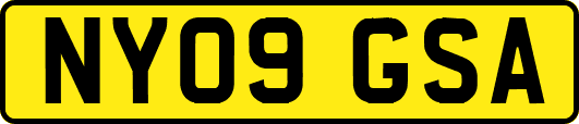 NY09GSA