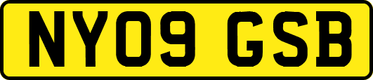 NY09GSB