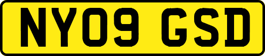 NY09GSD
