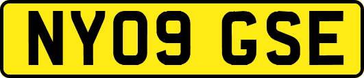 NY09GSE