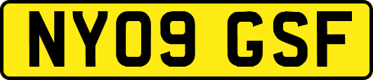 NY09GSF