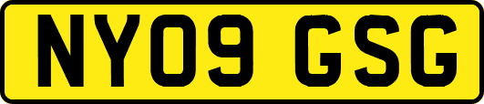 NY09GSG