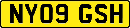 NY09GSH