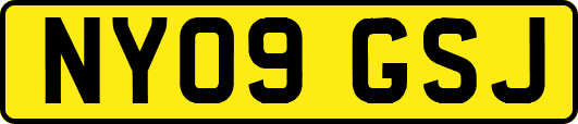 NY09GSJ