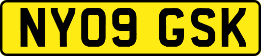 NY09GSK