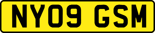 NY09GSM