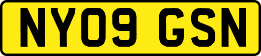 NY09GSN