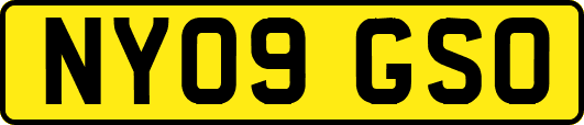 NY09GSO
