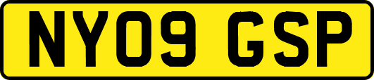 NY09GSP