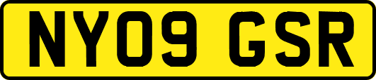 NY09GSR