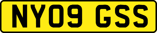 NY09GSS