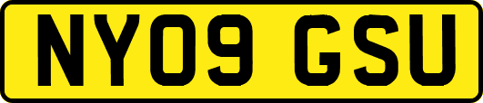 NY09GSU