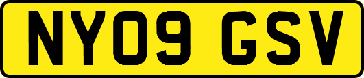 NY09GSV