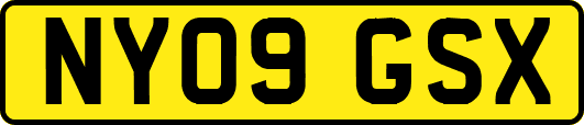 NY09GSX