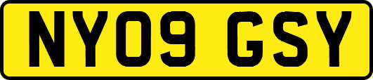 NY09GSY