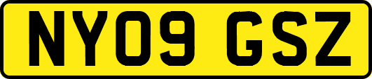 NY09GSZ